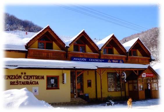 Hotel Penzion Centrum à Sklené Teplice Extérieur photo